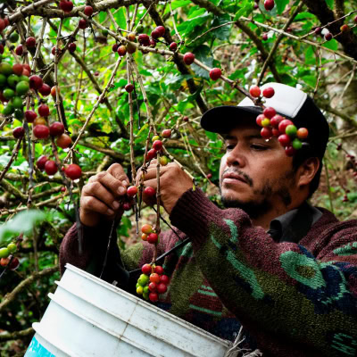 MAVRK Credit 3 farmers